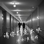 请你别走太快