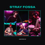 Stray Fossa on Audiotree Live