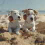 Morning Walks: Chill Music for Dogs