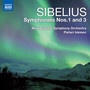 SIBELIUS, J.: Symphonies Nos. 1 and 3 (New Zealand Symphony, Inkinen)