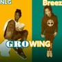 GRowing (Explicit)