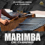 Cumbias Para La Chaviza