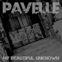 My Beautiful Unknown (Explicit)