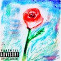 Roses (Explicit)