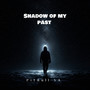 Shadow of My Past
