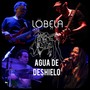 Agua De Deshielo (En Vivo)