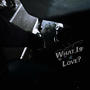 What Is Love? (feat. Luh q5) [Explicit]