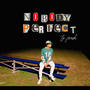 nobody perfect
