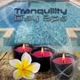 Tranquility Day Spa – Relaxing Music for Wellness Center and Physical Therapist Massage Studio, Natu