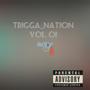 Trigga Nation (Explicit)