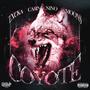 COYOTE (Explicit)