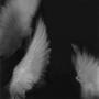 hanging by a thread (Explicit)