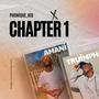 CHAPTER 1