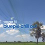 Blue Pie Chill Out: Vol 15