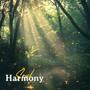 Soul Harmony