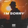 I'm Sorry (feat. Dannt El Ingeniero)