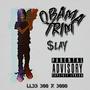 0bama Trim (EP) [Explicit]