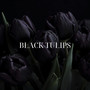 Black Tulips (Explicit)