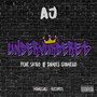 Undervurderet (Explicit)