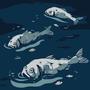 Rotten Fish (Explicit)