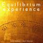 Equilibrium Experience