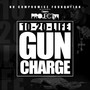 Gun Charge