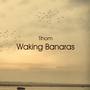 Waking Banaras