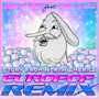 Story From North America (Europop Remix)