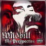 My Perspective (Explicit)