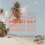 Perfect Day (Explicit)