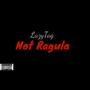 Not Regula (feat. Yp Da Goat) [Explicit]