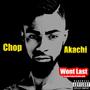 Won't Last (feat. King Akachi) [Explicit]