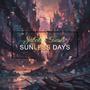 Sunless Days