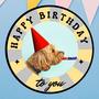 Happy birthday to you