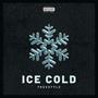 Ice Cold Freestyle (Explicit)