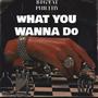 What You Wanna Do (Explicit)