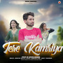 Tere Kamriya