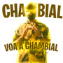 Voa a Chambial (Explicit)