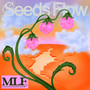 Seeds Flow