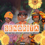 Senorita (Explicit)