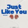 Just Like You (Explicit)