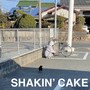 SHAKIN' CAKE (Explicit)