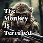 The Monkey is Terrified!