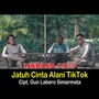 Jatuh Cinta Alani TikTok