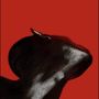 90 in a 35 / mama said (Explicit)