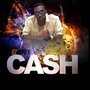 Cash