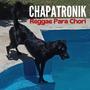 Reggae Para Chori