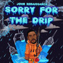 Sorry for the Drip (Explicit)