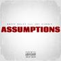 Assumptions (Explicit)