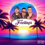 Feelings (feat. Shown & Emblo)